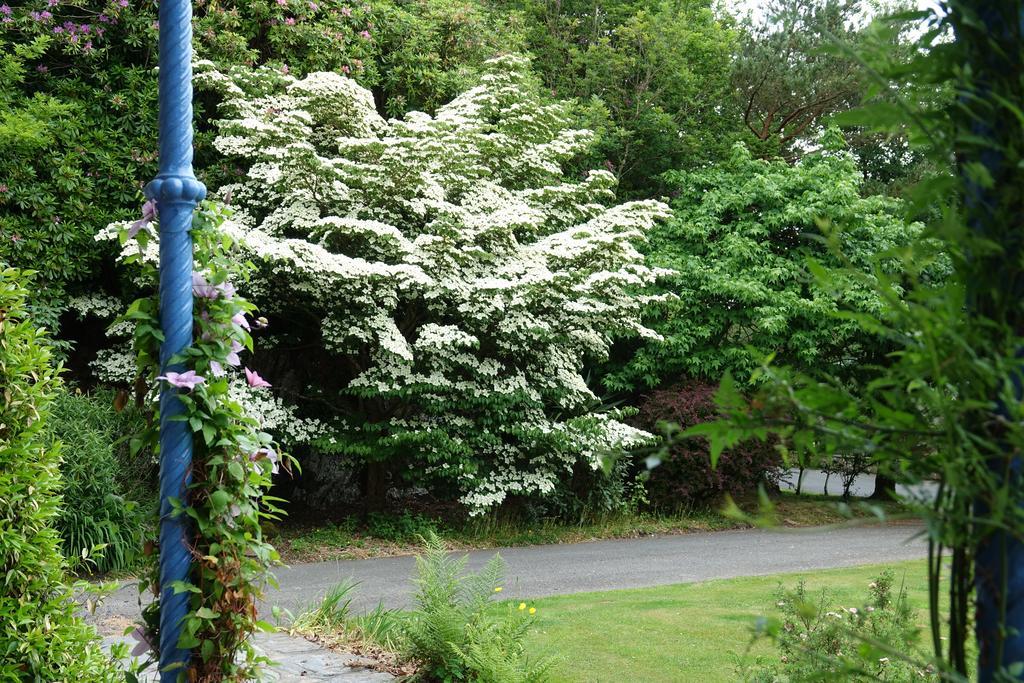 Borthwnog Hall Penmaenpool Luaran gambar