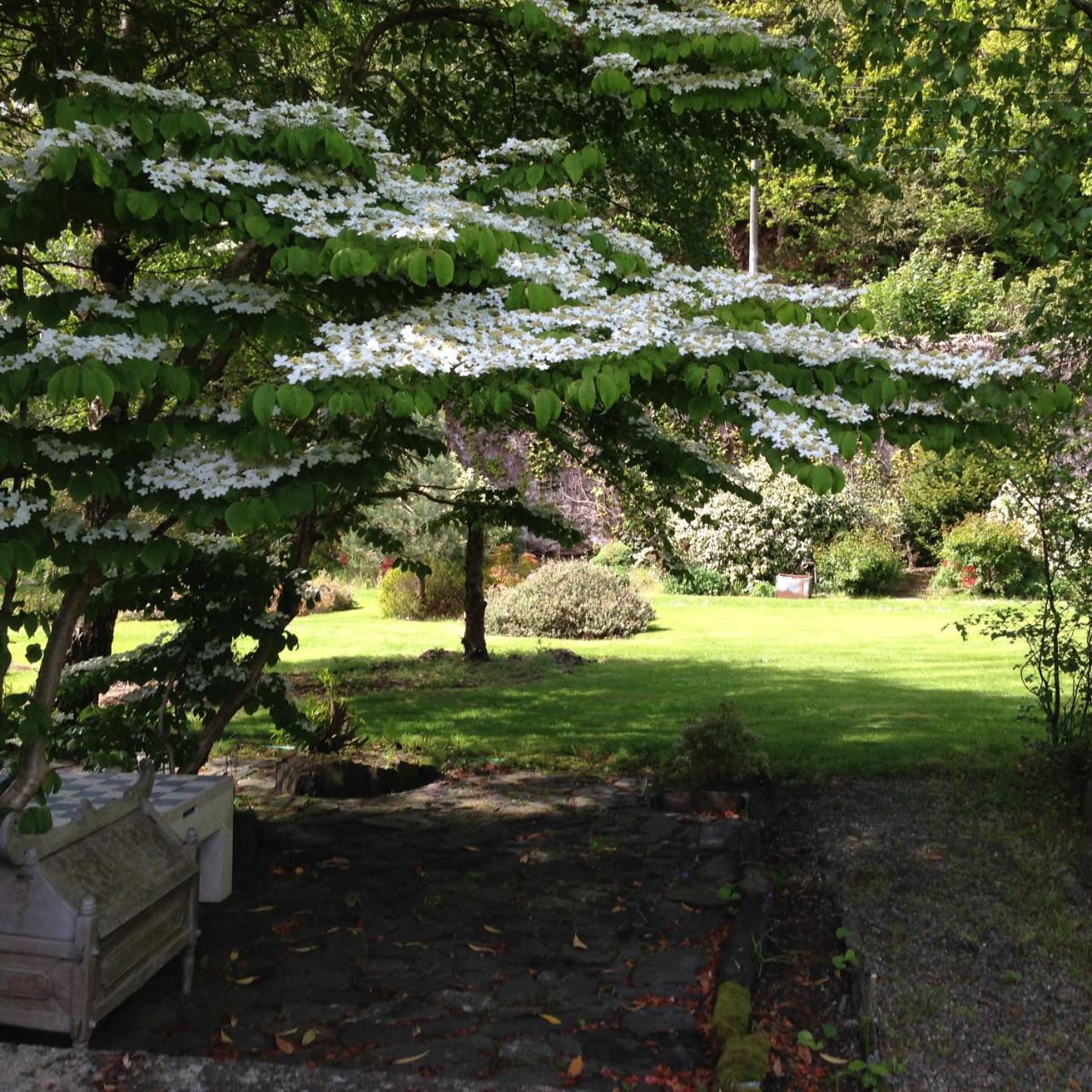 Borthwnog Hall Penmaenpool Luaran gambar